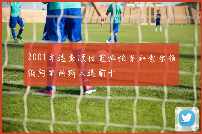 2001年选秀顺位重排帕克加索尔领衔阿里纳斯入选前十