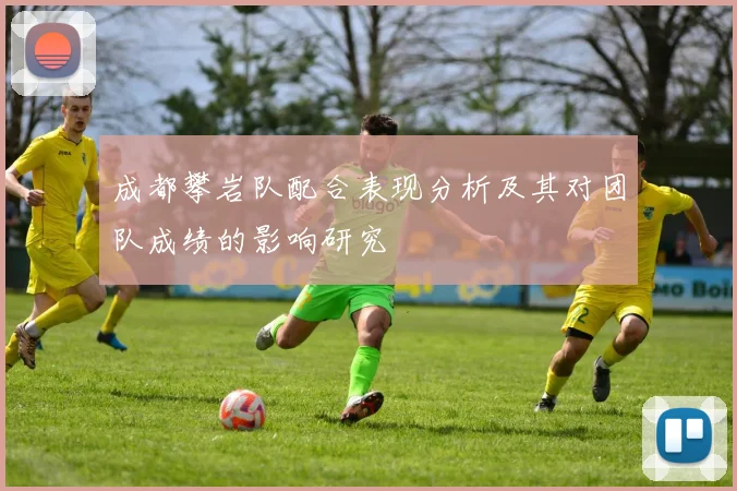 成都攀岩队配合表现分析及其对团队成绩的影响研究
